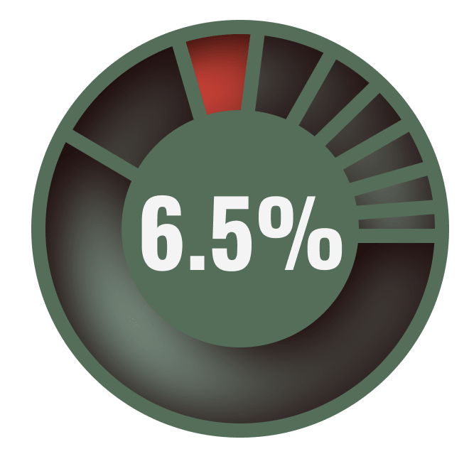 pie chart highlighting 6.5 percent