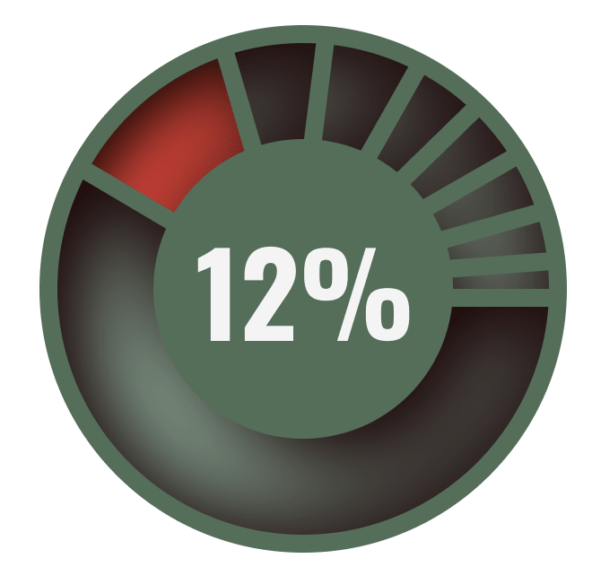 pie chart highlighting 12 percent