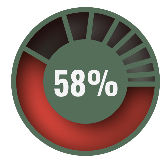 pie chart highlighting 58 percent