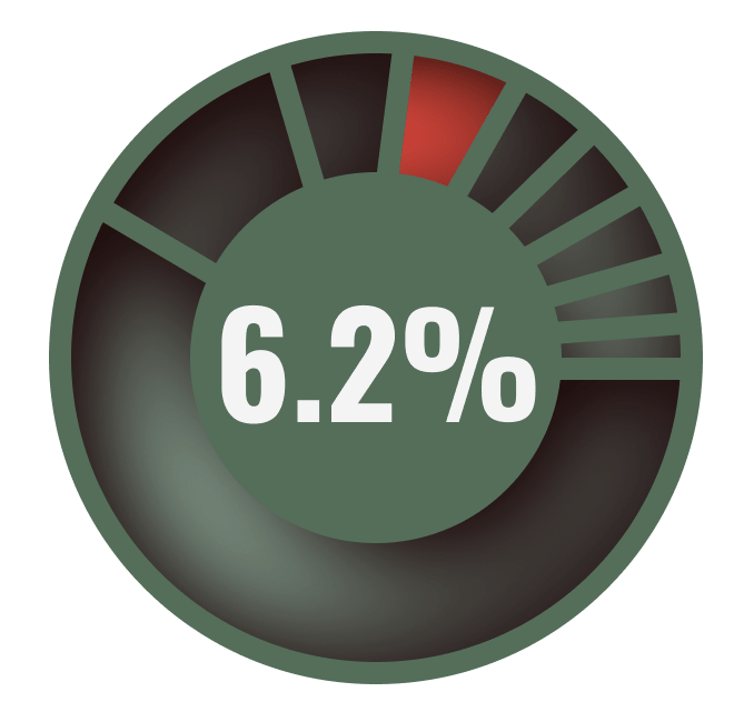pie chart highlighting 6.2 percent